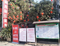 疫情无情人有情，我为抗疫做贡献！
